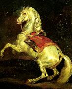 Theodore   Gericault cheval cabre, dit tamerlan Spain oil painting artist